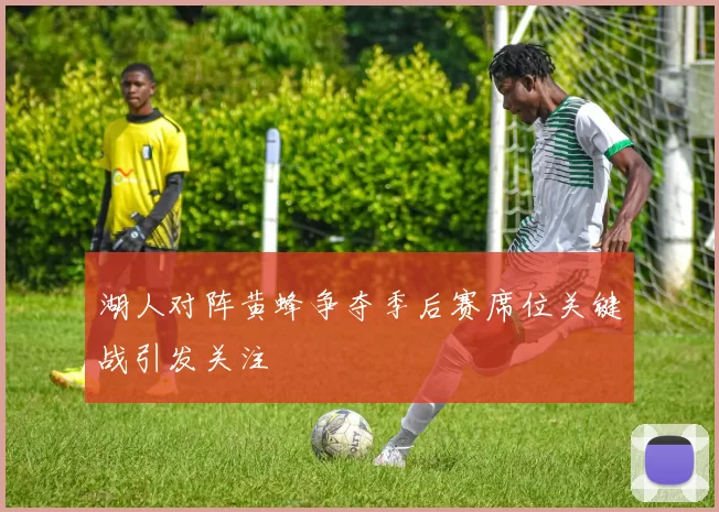 湖人对阵黄蜂争夺季后赛席位关键战引发关注