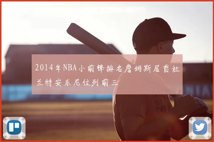 2014年NBA小前锋排名詹姆斯居首杜兰特安东尼位列前三
