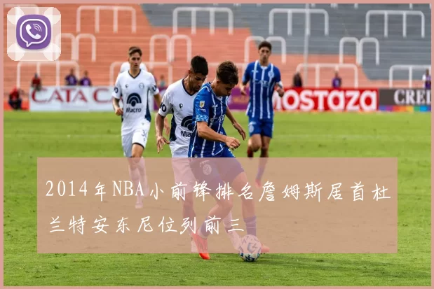 2014年NBA小前锋排名詹姆斯居首杜兰特安东尼位列前三