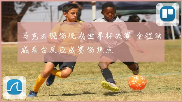 马克龙现场观战世界杯决赛 全程助威看台反应成赛场焦点