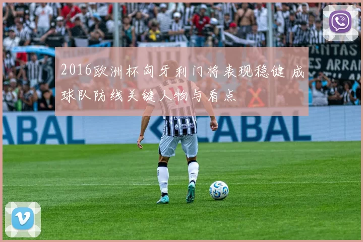 2016欧洲杯匈牙利门将表现稳健 成球队防线关键人物与看点
